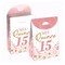 Big Dot of Happiness Mis Quince Anos - Quinceanera Sweet 15 Birthday Gift Favor Bags - Party Goodie Boxes - Set of 12